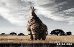 1193053294_69_pics_64166