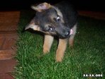 1193052910_35_pics_87388