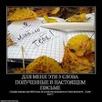 x_5487b861[1]
