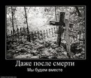 x_e820a4d8[1]