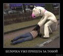 x_8cb603d5