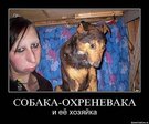 x_de56433d