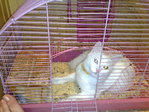 30082010559