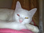 20102010579