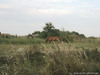 DSCF5098