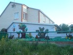 Стена Винни 1