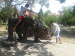 getImage (1)