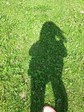 image (2)
