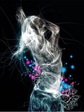 x_1b3d780d
