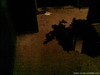 Photo-0125