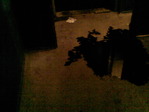 Photo-0125