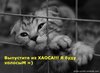 izXFGiXOqoleOHHxfSgV1wBZvKJ6T3X3Ql796WfBPDg