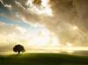 22149_lsun-lnne[2]