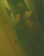 IMG0008B