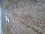 DSC00185