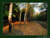 0010-autumn10