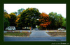 0008-autumn08