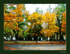 0002-autumn02