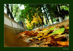 0005-autumn05