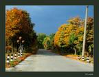 0007-autumn07