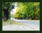 0006-autumn06