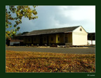 0009-autumn09