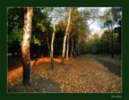 0010-autumn10