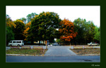 0008-autumn08