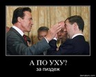 А по уху