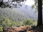 Урал.. он шикарен
