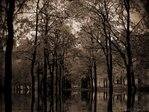 Самая любимая фотография сделанная мной 