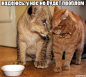 :)