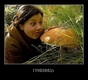 mashroom