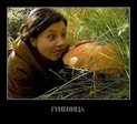 mashroom