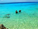 Дайвинг в Карибском море, бездны, обрывы... жуть... затонувшие корабли.. и так каждый день по 5-7 погружений, класс!