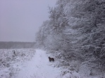 20141210_155706