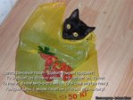 kotomatrix_132
