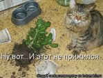 kotomatrix_198