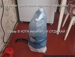 kotomatrix_273