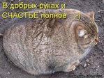 kotomatrix_125