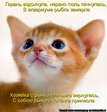 kotomatrix_196