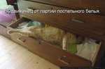 kotomatrix_213
