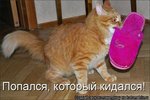 kotomatrix_230