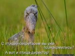 kotomatrix_111