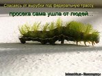 kotomatrix_187