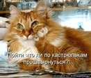 kotomatrix_103