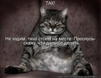 kotomatrix_108