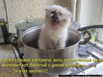 kotomatrix_106