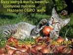 kotomatrix_058
