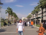 Thaa0281